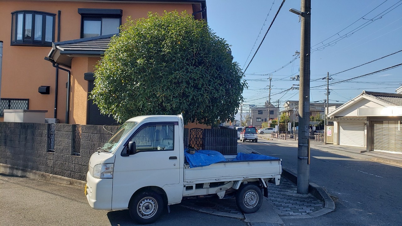 奈良市古市町の中木伐採作業